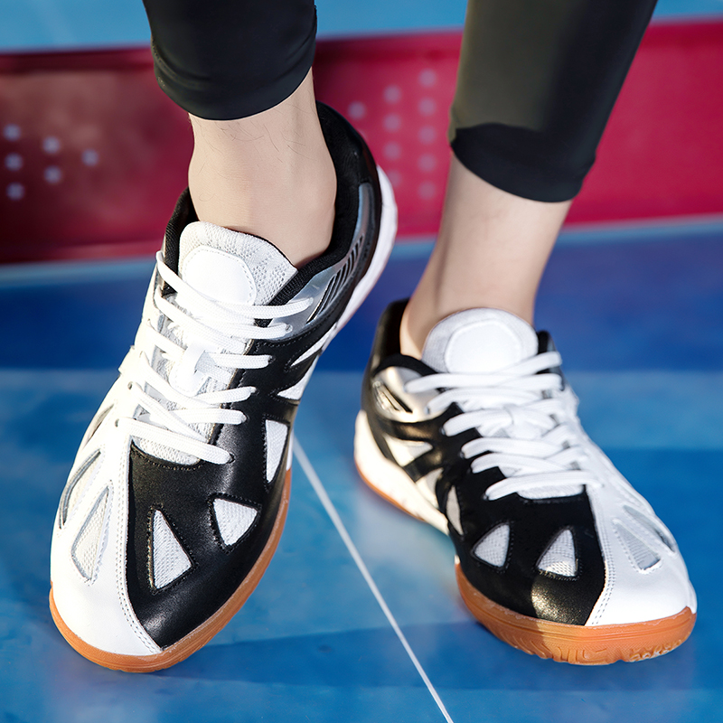 2025 Men's and Women's Badmint - Table Tennis Basic 리뷰 및 가격