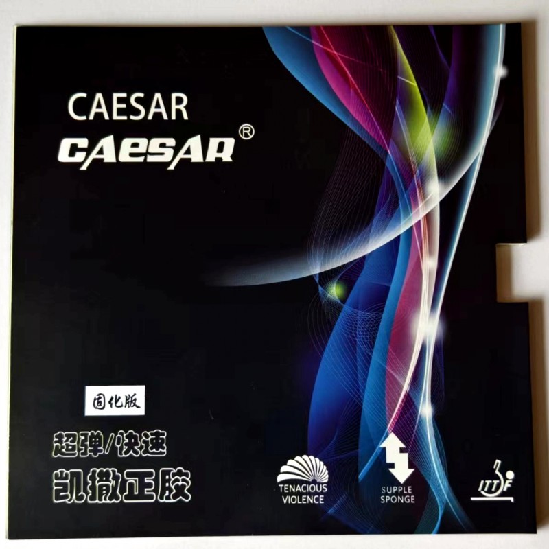 CAESAR Anti-Spin Table Tennis  - Table Tennis Rubber Anti Spin 리뷰 및 가격