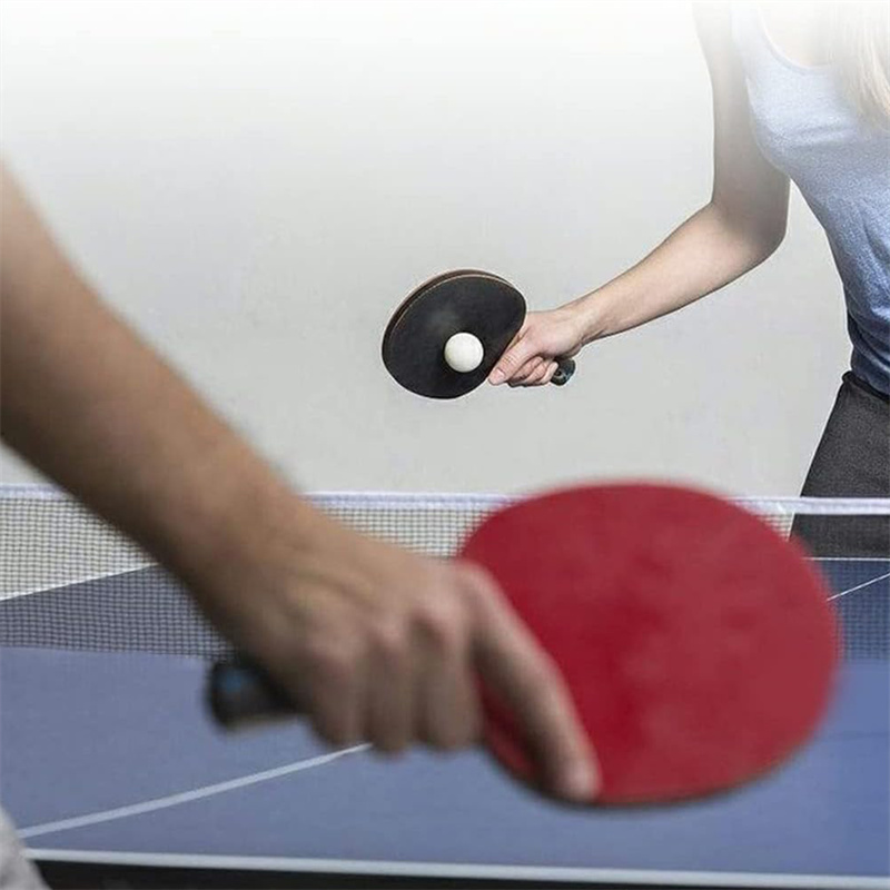 1-3-5PCS Portable Table Tennis - Table Tennis No 1 리뷰 및 가격