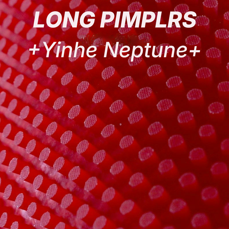 YINHE NEPTUNE Long Pimples Tab - Table Tennis Rubber Anti Spin 리뷰 및 가격